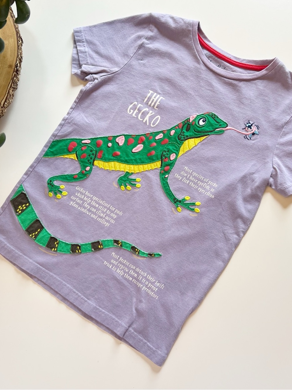 Mini Boden The Gecko Appliqué Shirt | Size 11-12